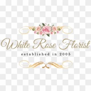 Establish In - Hybrid Tea Rose Clipart