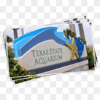 Texas State Aquarium - Acuario En San Antonio Texas Clipart