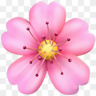 Png Sticker - Cherry Blossom Emoji Png Clipart