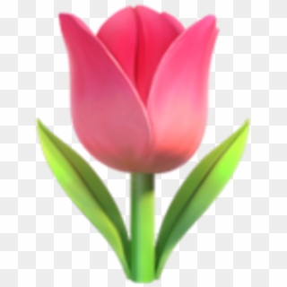 Flower Emoji Png - 🌷 Emoji Clipart