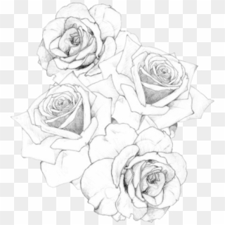 Rose Tattoo - - Plantillas Rosas Para Tatuajes Clipart