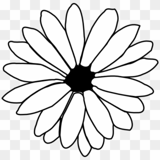 Daisy Outline Clip Art - Single Flower Coloring Flower - Png Download