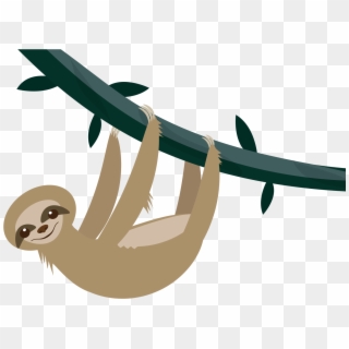 Sloth Png - Illustration Clipart