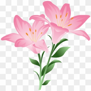 Pink Lilium Png Clipart Picture - Pink Lily Clip Art Transparent Png