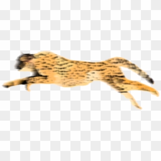 Cheetah Running Png - Animated Cheetah Gif Png Clipart