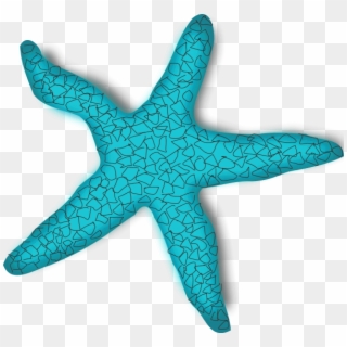 600 X 563 1 - Starfish Clip Art - Png Download