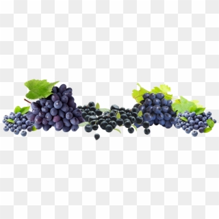 Free Grapes Png - Blueberry Clipart