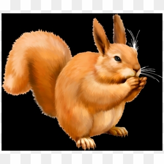 Eurasian Red Squirrel Clipart
