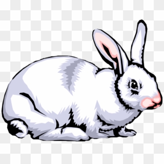 Rabbit Clip Art Images Free Clipart Png - Clip Art Rabbit Png Transparent Png