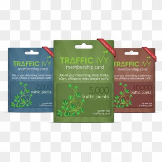 Cindy Donovan's Traffic Ivy Review - Traffic Ivy Clipart