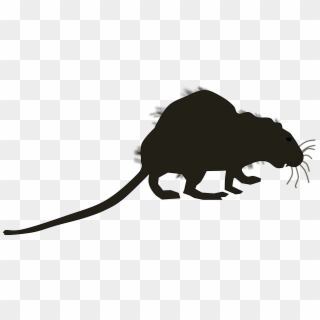 Big Image - Marsupial Clipart