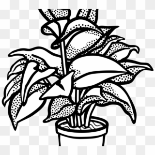 Bushes Clipart Different Plant - Plants Clip Art Black And White - Png Download