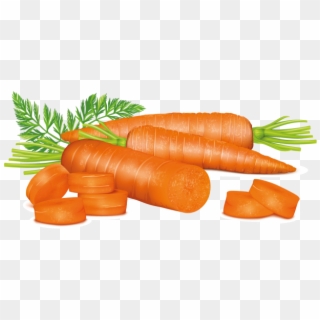 Carrots - Carrot Clipart