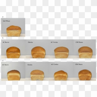 Breads Prepared From A) Soft Wheat Flour, B) Blends - Fast Food Clipart