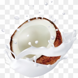 1667 X 1667 29 - Coconut Milk Png Clipart