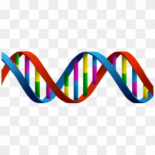 Dna Png Clipart