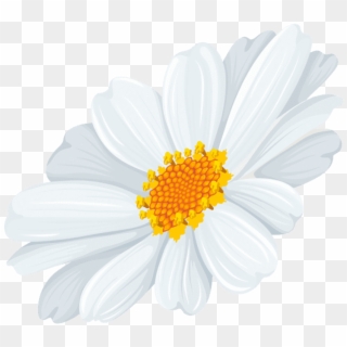 Free Png Download White Daisy Transparent Png Images - White Daisy Flowers Transparent Clipart