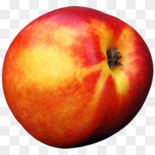 Peach Png - Single Peach Png Clipart
