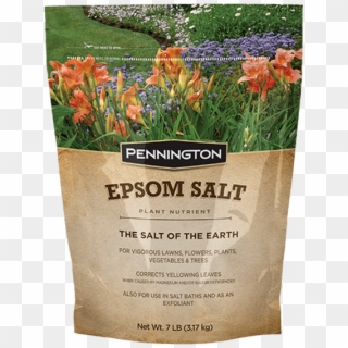 Pennington Epsom Salt Clipart