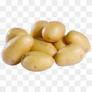 The Potato - Yukon Gold Potato Clipart