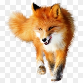 Cute Fox Pictures - Fox Animal Png Clipart