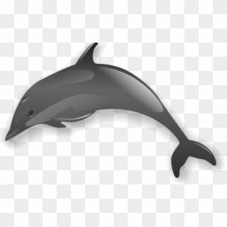 Dolphin - Dolphin Clip Art - Png Download