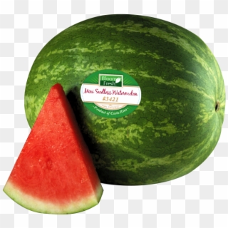 Watermelon Png Transparent Images - Watermelon Clip Art