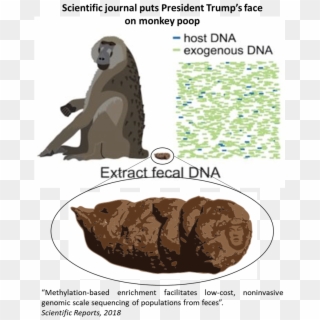 Journal Puts Trump's Face On Poop Clipart