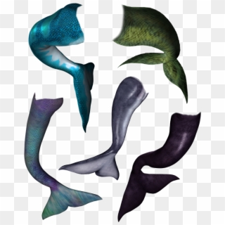 Dolphin Tail Png - Whale Clipart