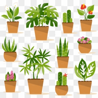 House Plants Clipart - Flower Pot Illustration - Png Download