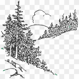 Drawn Forest Sketch Png - Black And White Pine Trees Clipart Transparent Png