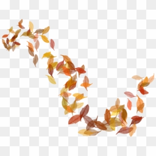 Free Png Download Transparent Fall Leaves Clipart Png - Autumn Leaves Transparent Png