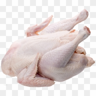 Fresh Chicken Png - Whole Chicken Png Clipart