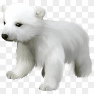 Free Png Download Cute Small Polar Bear Png Images - Cute Clipart Polar Bear Transparent Png