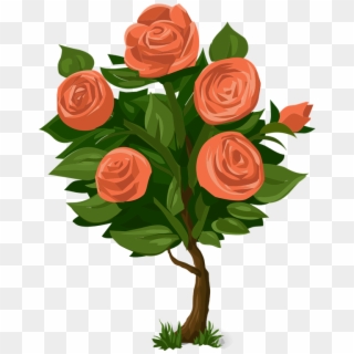 Rose Bush Png - Drawing A Rose Tree Clipart