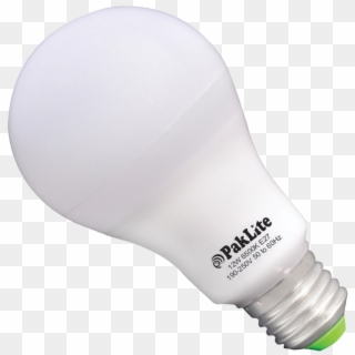 Led Bulbs - Paklite Clipart