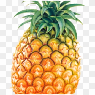 Pine Apple Png Clipart