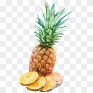 Fresh Pineapple Slices - Watercolor Painting Clipart
