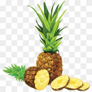 Vector Library Stock Pineapple Illustration Png And - Pineapple Illustration Clipart