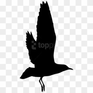 Free Png Bird Silhouette Png - Birds White Silhouette Transparent Clipart