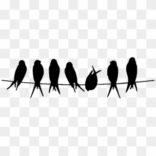 Clip Black And White Stock Birds Svg Wire Silhouette - Dare To Be Different Bird - Png Download