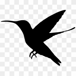 Animal, Bird, Flying, Hummingbird, Silhouette - Hummingbird Silhouette Png Clipart
