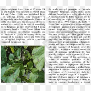 Symptoms Of Late Blight Disease On Potato Foliage - Animal Clipart
