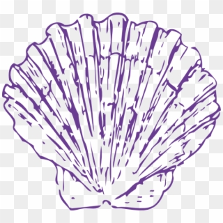 Purple Seashell Png - Transparent Background Blue Seashell Clipart