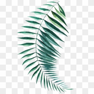 Jpg Library Stock Fern Transparent Feather - Fern Clipart