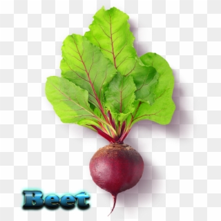 Beet Free Download Png - Beet Greens Clipart