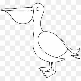 Pelican Clipart Black And White - Water Bird - Png Download