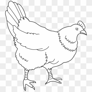 8 Hens Black And White Clipart - Png Download