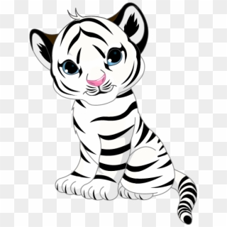 800 X 800 13 - Cute Tiger Coloring Pages Clipart