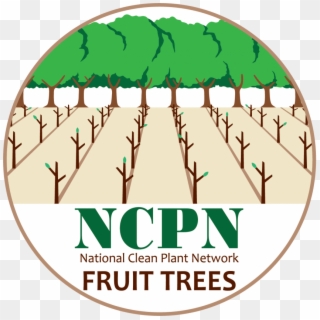 Free Png Download Fruit Tree Png Images Background - Ncpn Fruit Trees Clipart